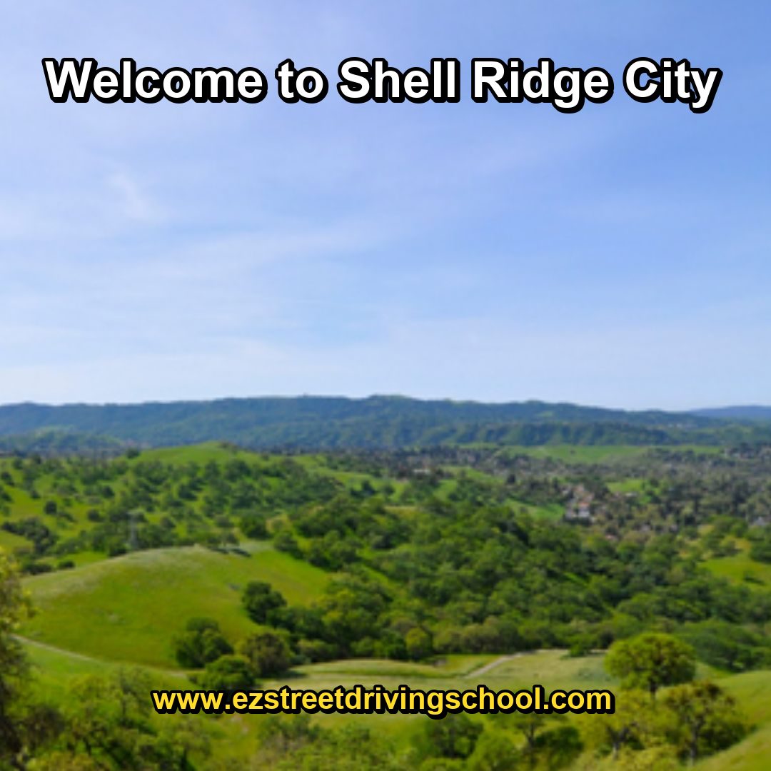 Driving Lessons in Shell Ridge